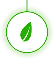 Annualife Leaf
