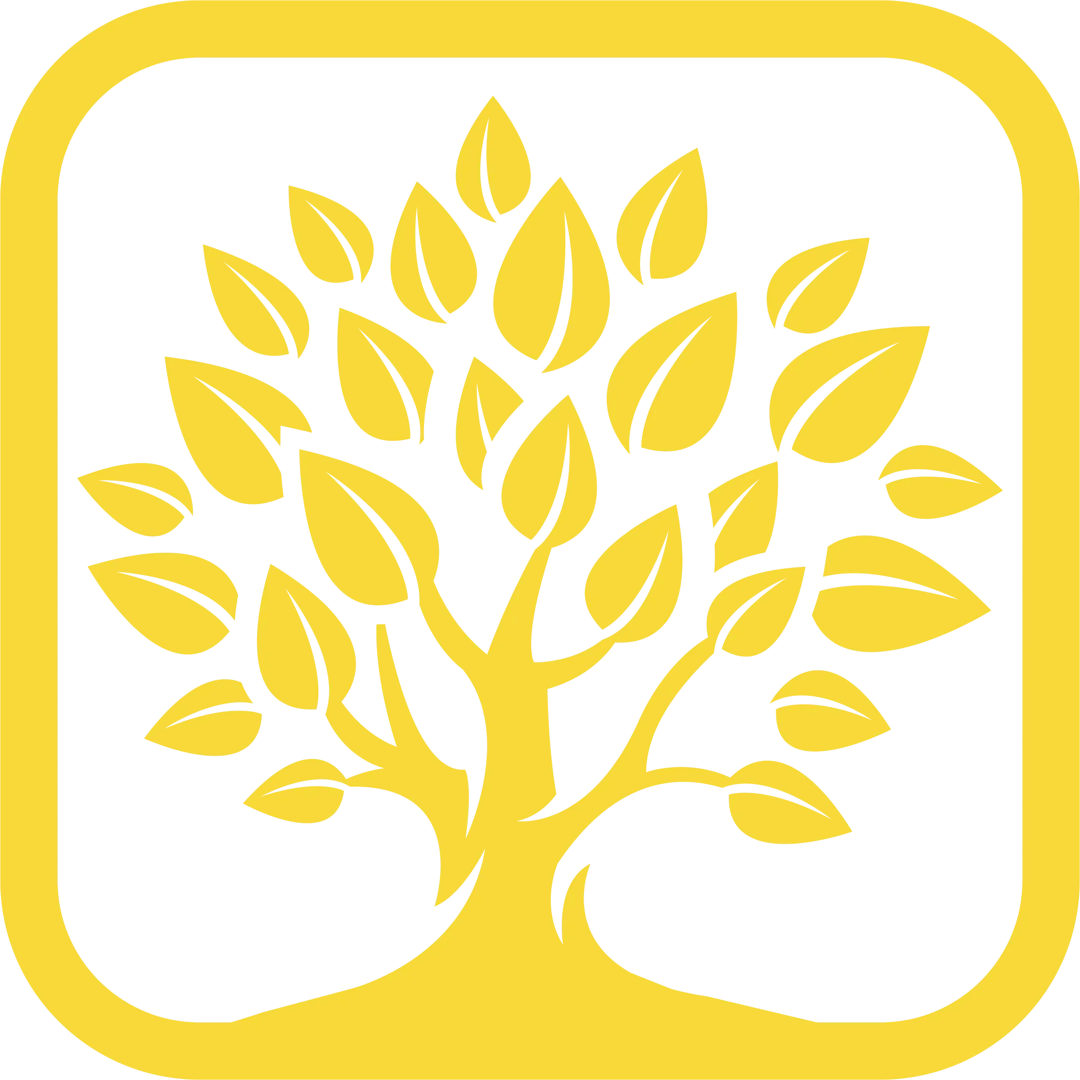 MYGA - Multi-Year Guaranteed Annuity | Annualife - Annualife
