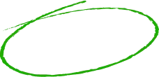 Circle Graphic